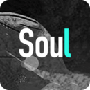 soul下载安装最新版 v3.85.1