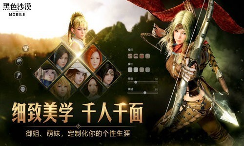 黑色沙漠日服安装包下载