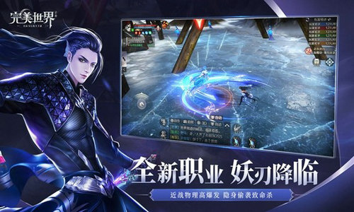 完美世界私服版