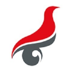 学信网app手机版v0.9.13.5