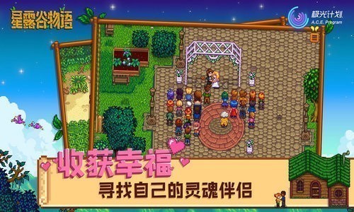 星露谷物语1.5.4汉化