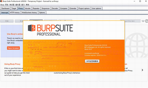 burpsuite2024汉化中文版