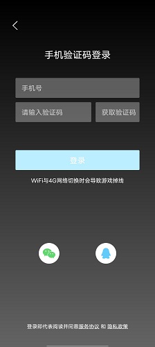 脑叶公司