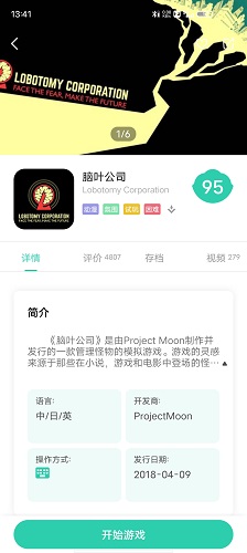 脑叶公司