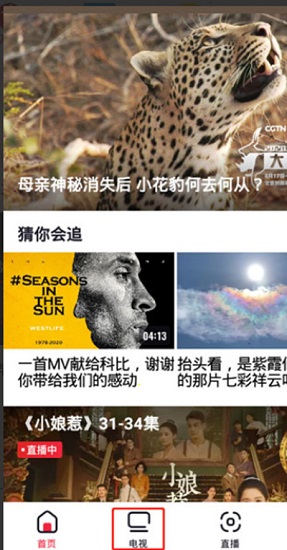 央视频tv版怎么看直播 央视频怎么收看卫视直播1