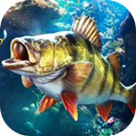 欢乐钓鱼大师下载安装最新版 v1.0.0.48207