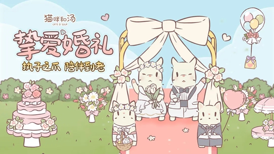 猫咪和汤官方正版
