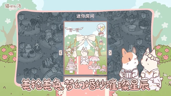 猫咪和汤官方正版